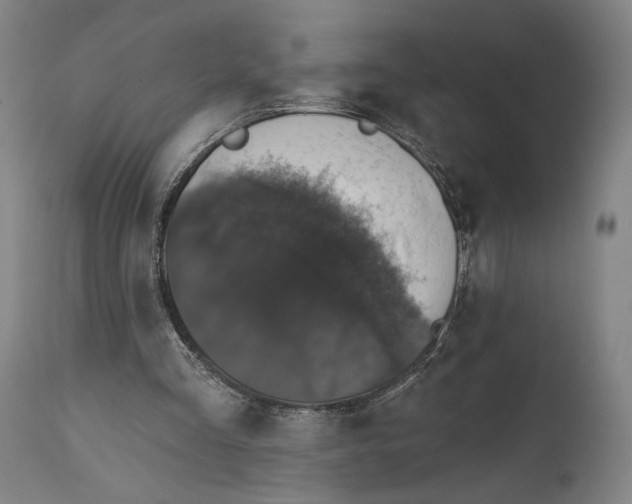 X0000111580293200908061332