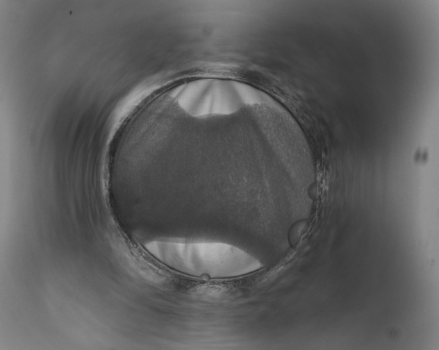 X0000111580294200908061332