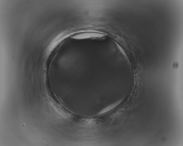 X0000111580295200908061332