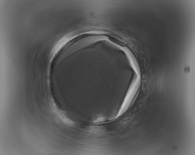 X0000111580296200908061332