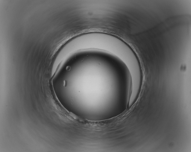 X0000111580297200908061332