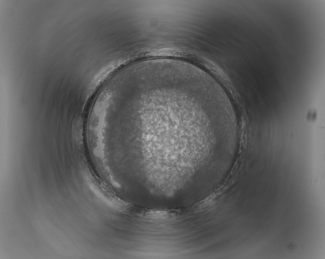 X0000111580298200908061332