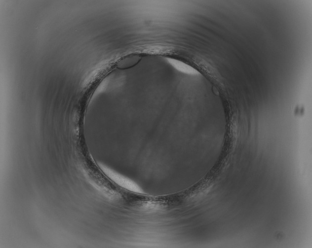 X0000111580303200908061332