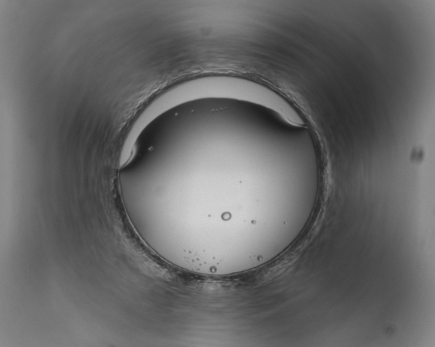 X0000111580305200908061332