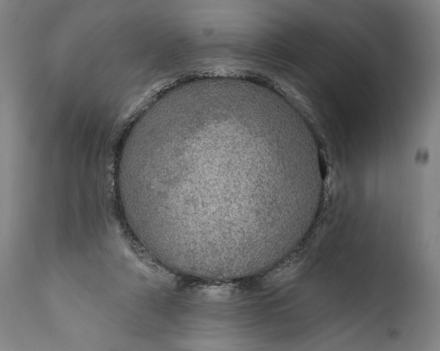 X0000111580306200908061332