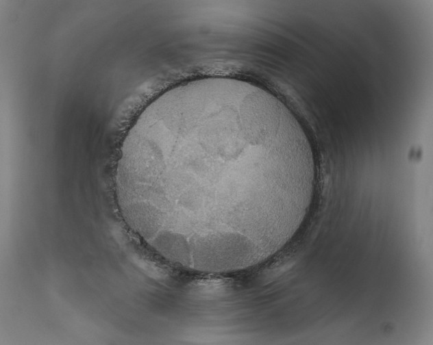 X0000111580307200908061332