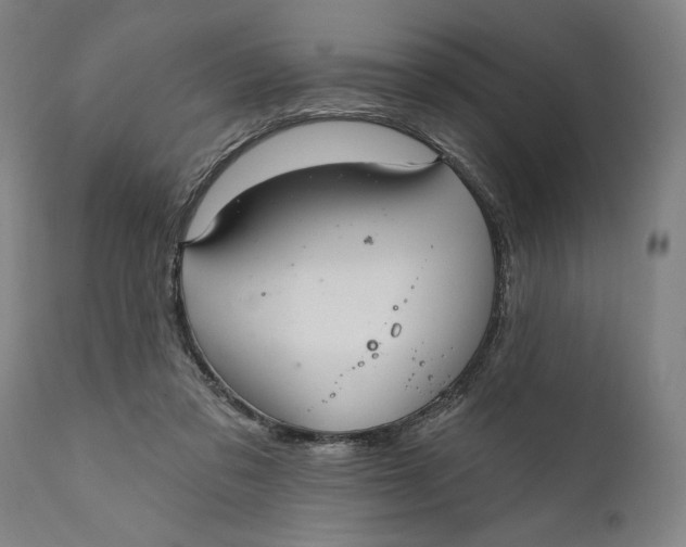 X0000111580309200908061332