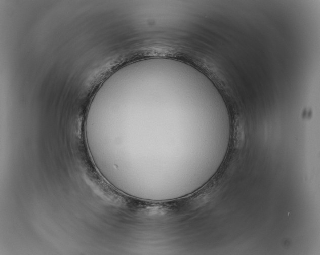 X0000111580310200908061332