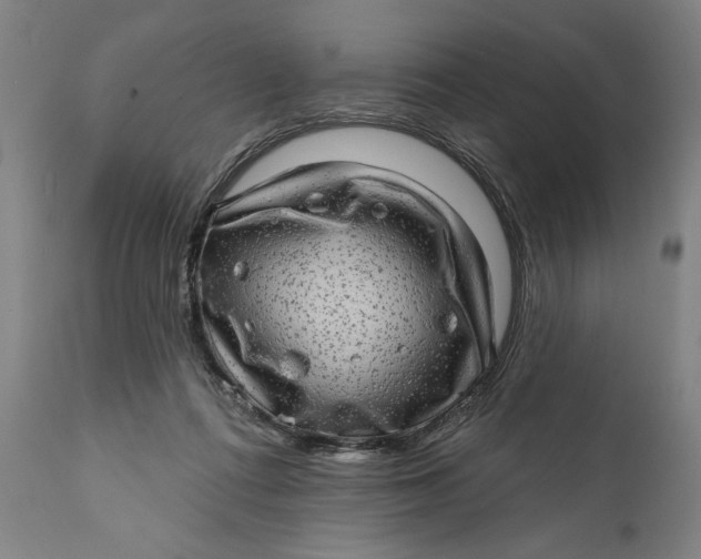 X0000111580312200908061332