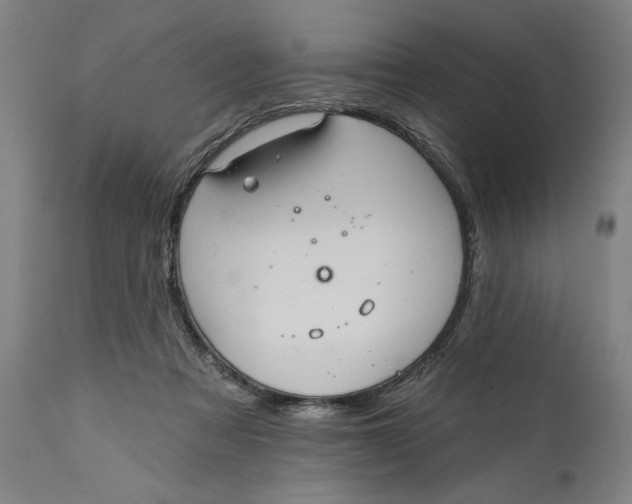 X0000111580313200908061332