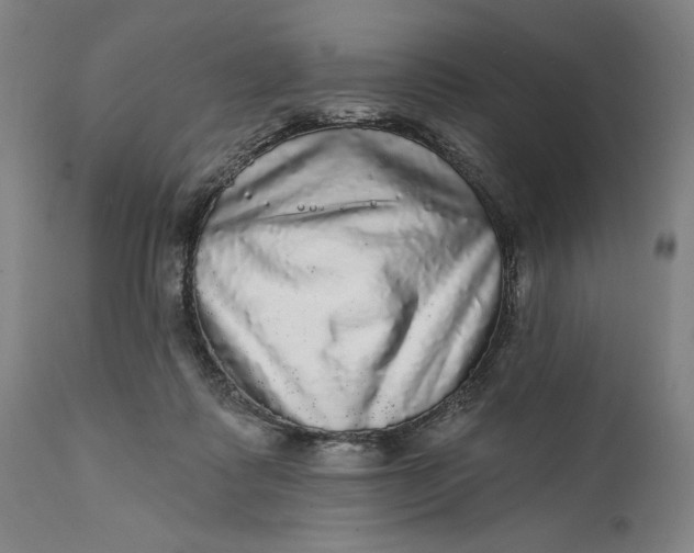 X0000111580315200908061331