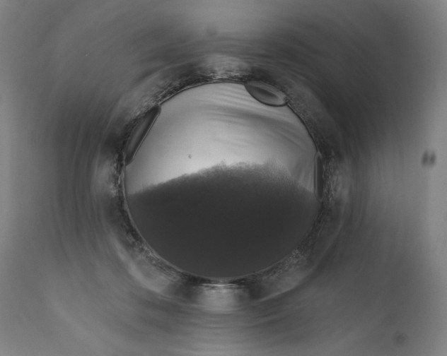 X0000111580316200908061331