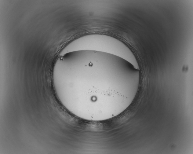 X0000111580317200908061331