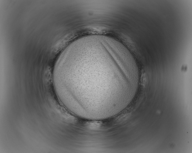 X0000111580318200908061331