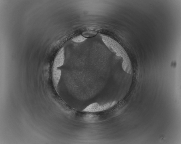 X0000111580319200908061331