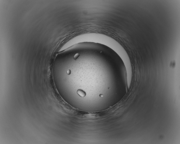 X0000111580320200908061331