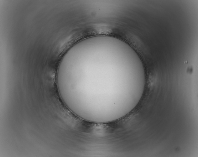 X0000111580321200908061331