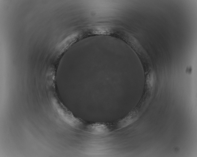 X0000111580322200908061331