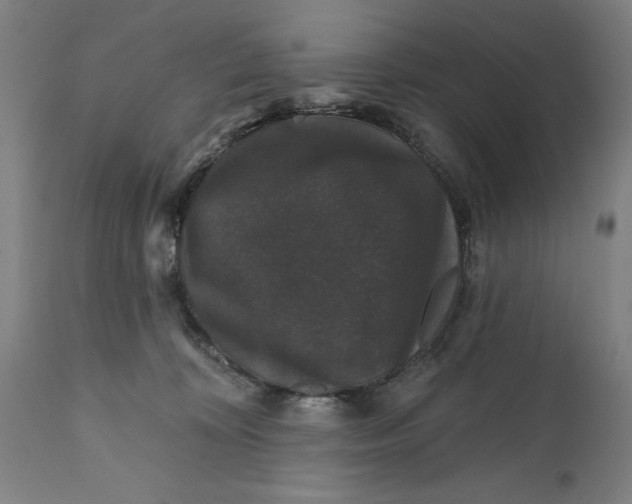 X0000111580324200908061331