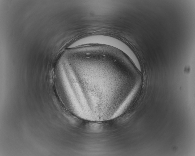 X0000111580325200908061331