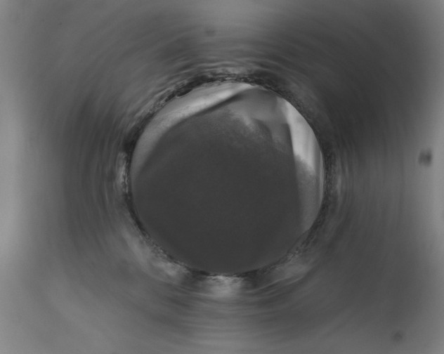 X0000111580328200908061331