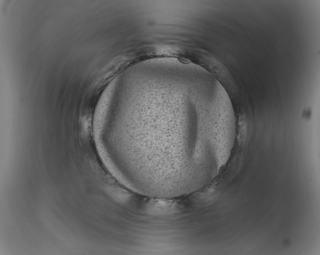 X0000111580329200908061331