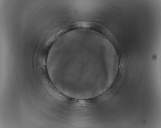 X0000111580330200908061331