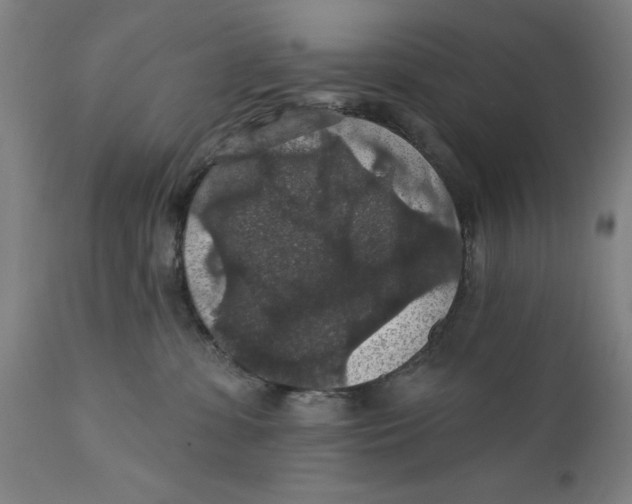 X0000111580331200908061331