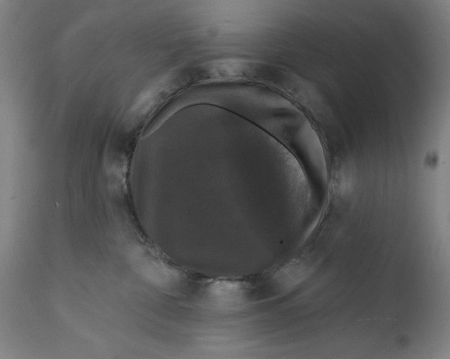 X0000111580332200908061331