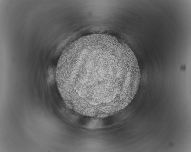 X0000111580335200908061331