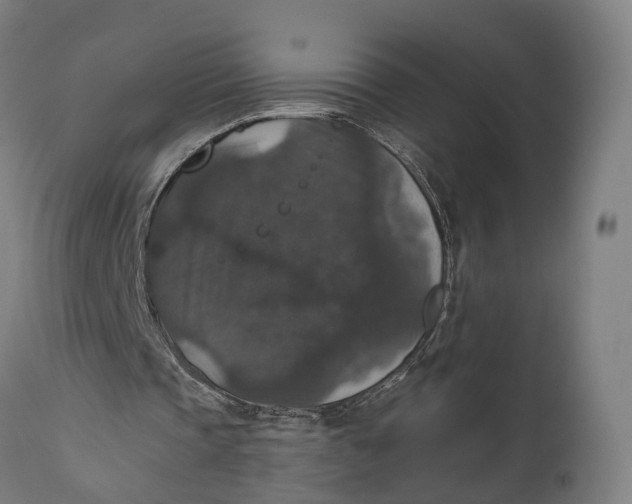 X0000111580337200908061331