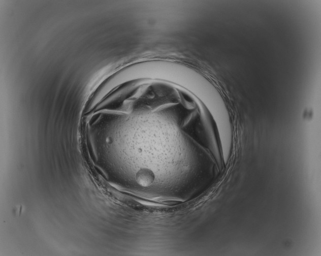 X0000111580340200908061331