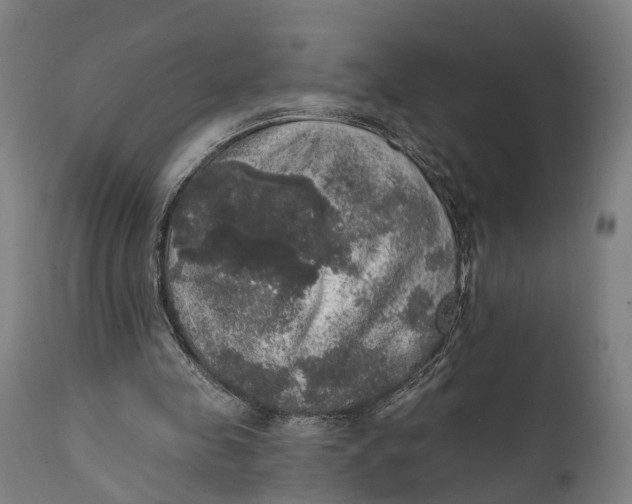 X0000111580341200908061331