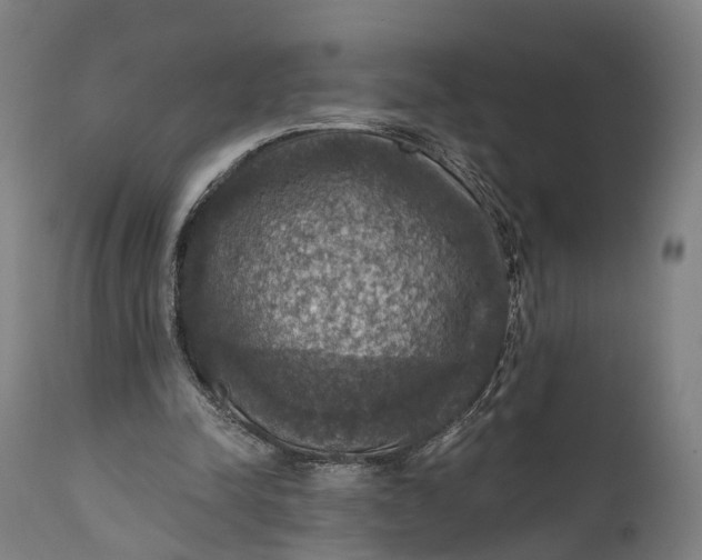 X0000111580342200908061331