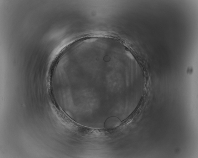 X0000111580343200908061331