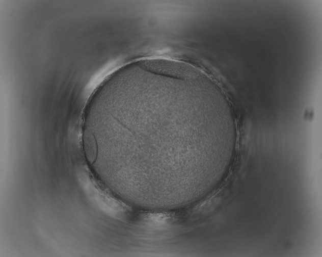 X0000111580344200908061331