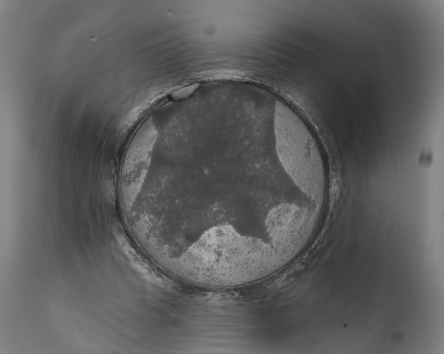 X0000111580345200908061331