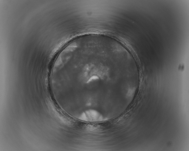 X0000111580346200908061331