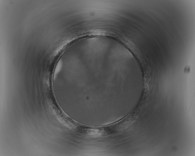 X0000111580347200908061331