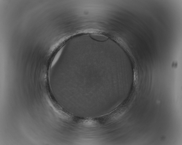 X0000111580348200908061331