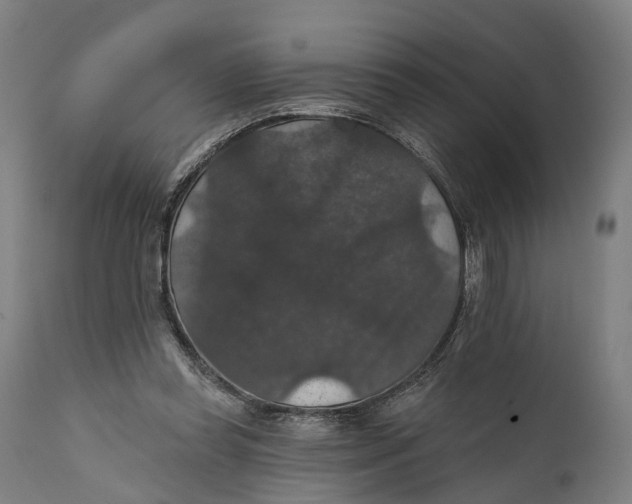 X0000111580349200908061331