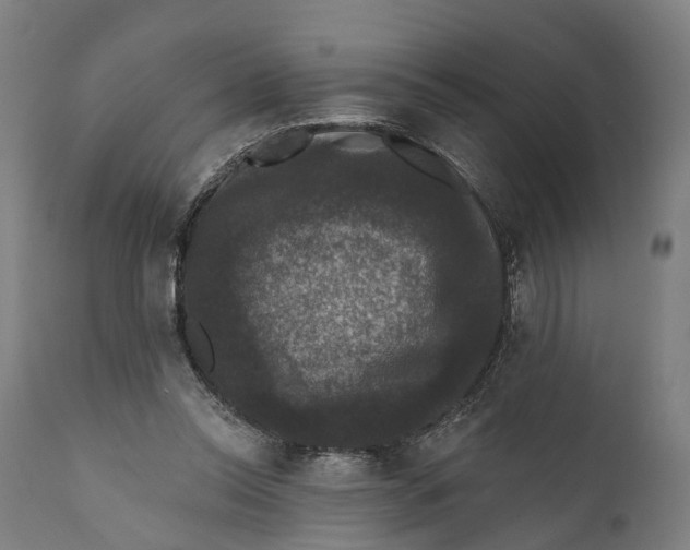 X0000111580350200908061331