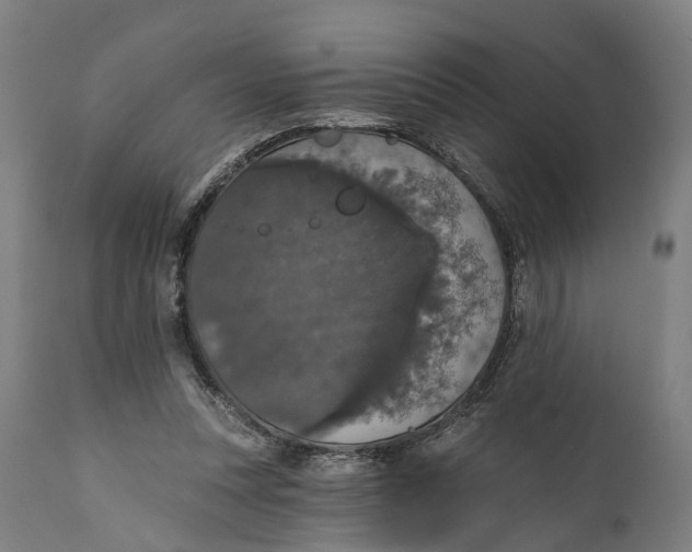 X0000111580351200908061331