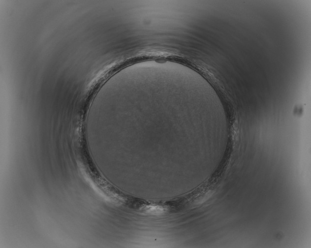 X0000111580352200908061331