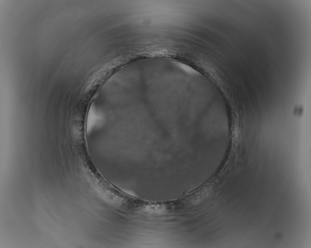 X0000111580353200908061331