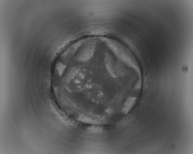 X0000111580354200908061331