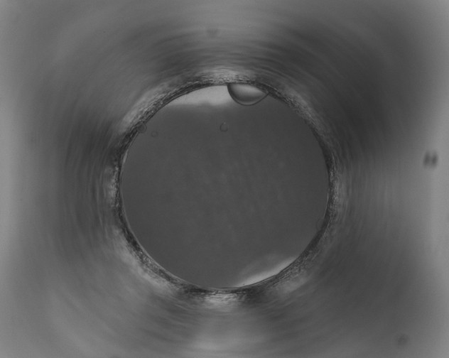 X0000111580357200908061331