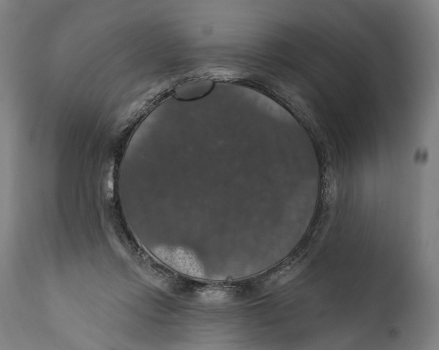 X0000111580358200908061331