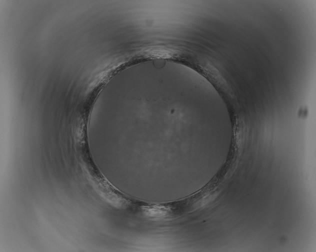 X0000111580359200908061331