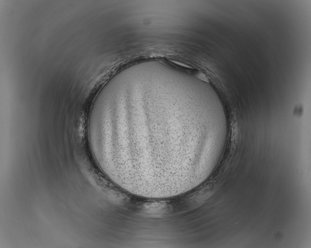 X0000111580362200908061331